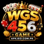 WGS 456 GAME
