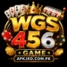 WGS 456 GAME